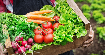 New hub aims for $1b boost to region's produce exports in five years
