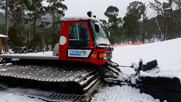 Snow at Corin Forest today