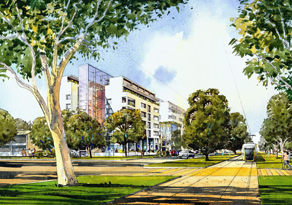 Redevelopment of Northbourne Avenue begins