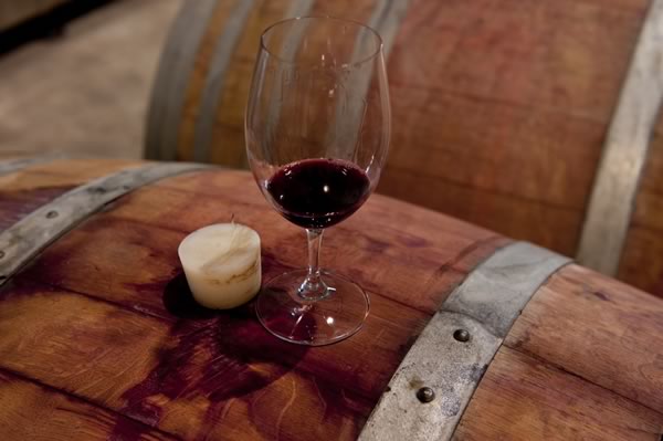 Exploring the Eden Road Cellar Door