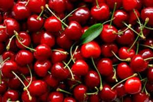 The arrival of Market’s festive foods welcomes the Christmas season