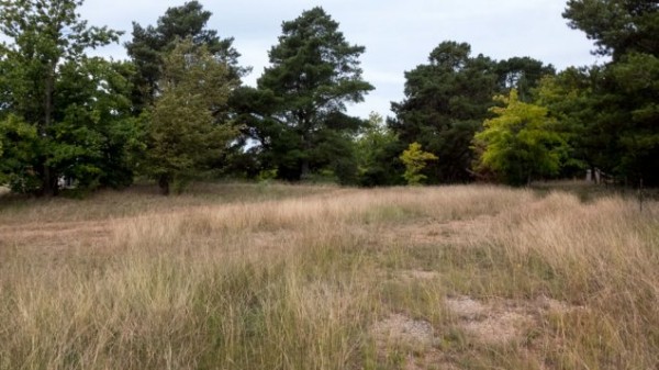 yarralumla ridge
