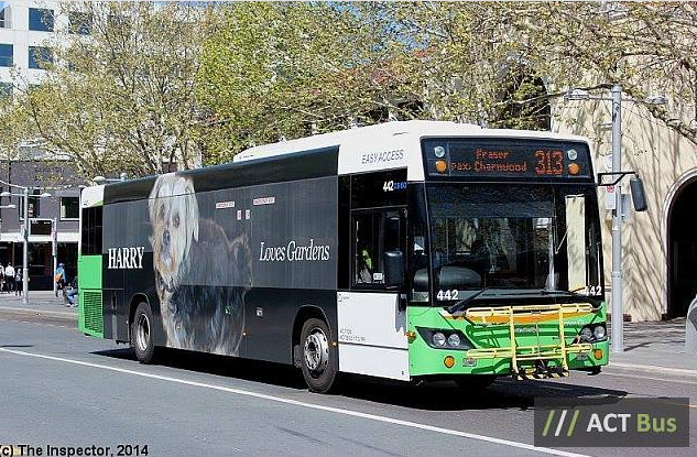 Who is Harry and why does he love gardens? - ACTION Bus ad