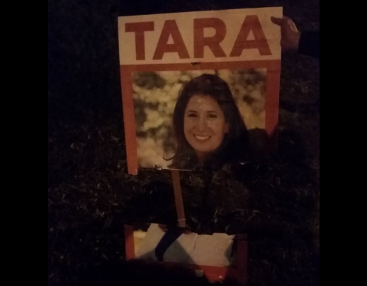 Tara Cheyne sign broken