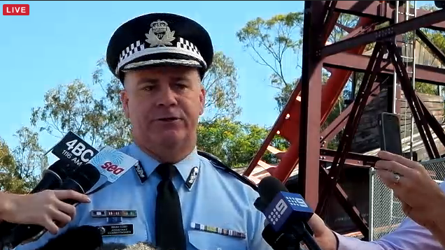 Children's survival almost miraculous: Qld deputy police chief