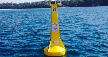 Woman hospitalised after Merimbula shark attack