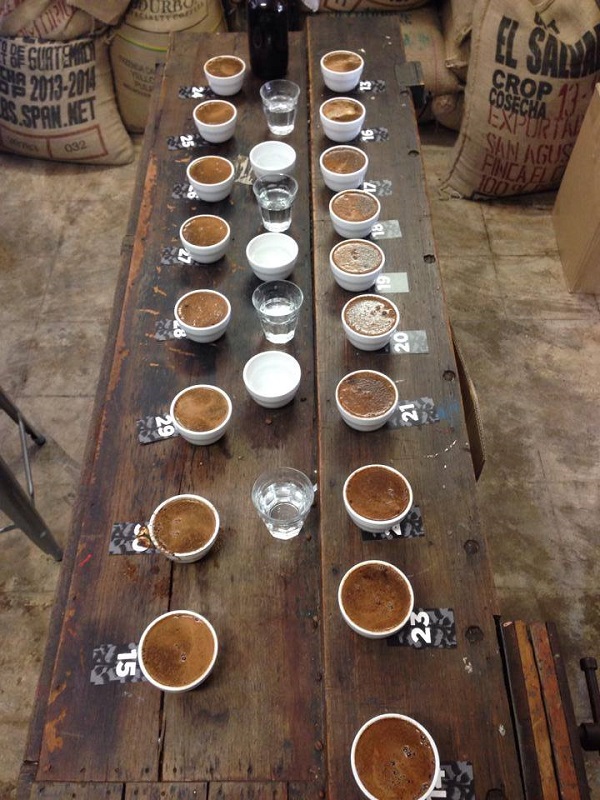 redbrick cupping