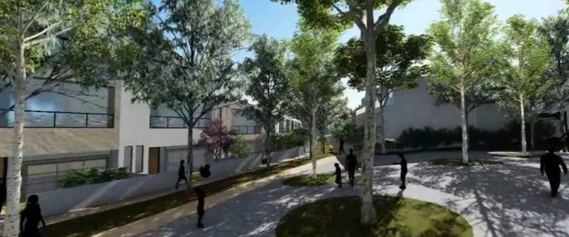 street and trees