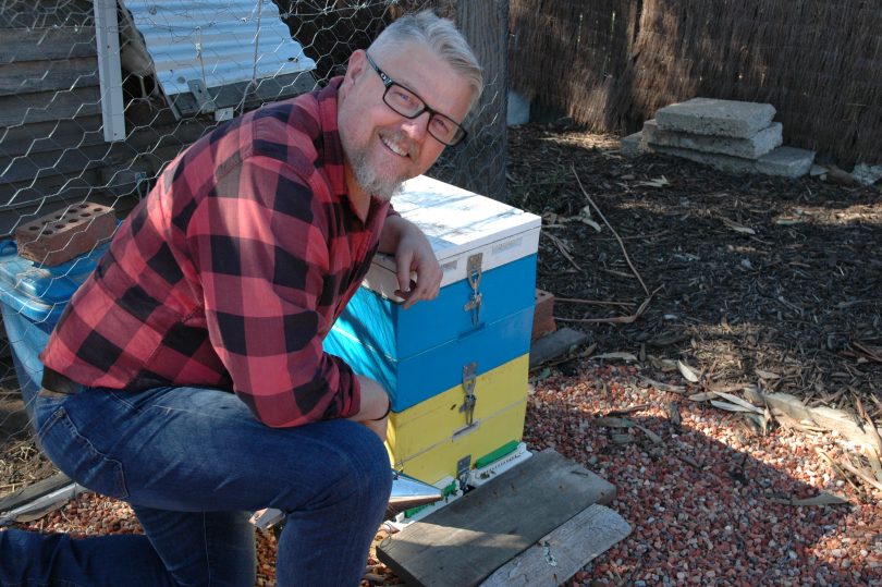 man and beehive