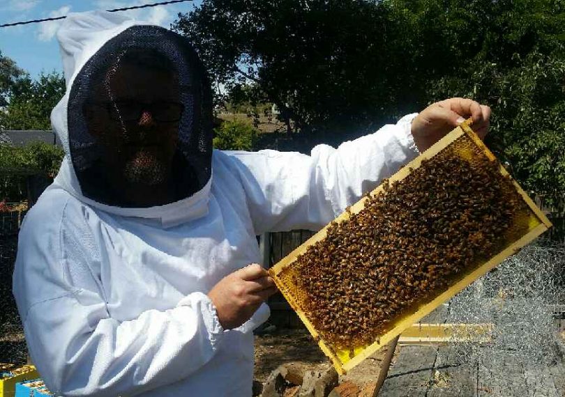 beekeeper and bees