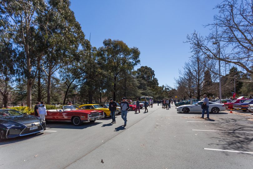 Camp Quality Classic Car Cruise