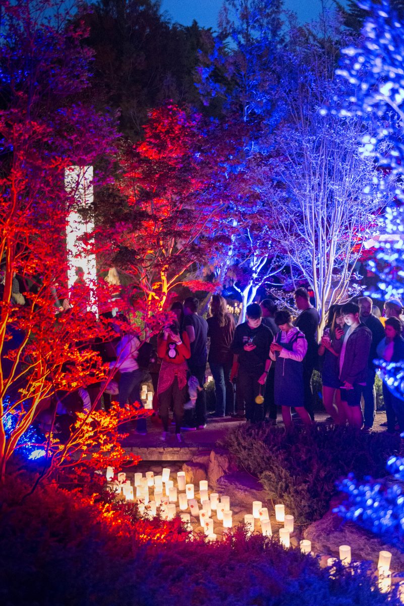Canberra Nara Candle Festival