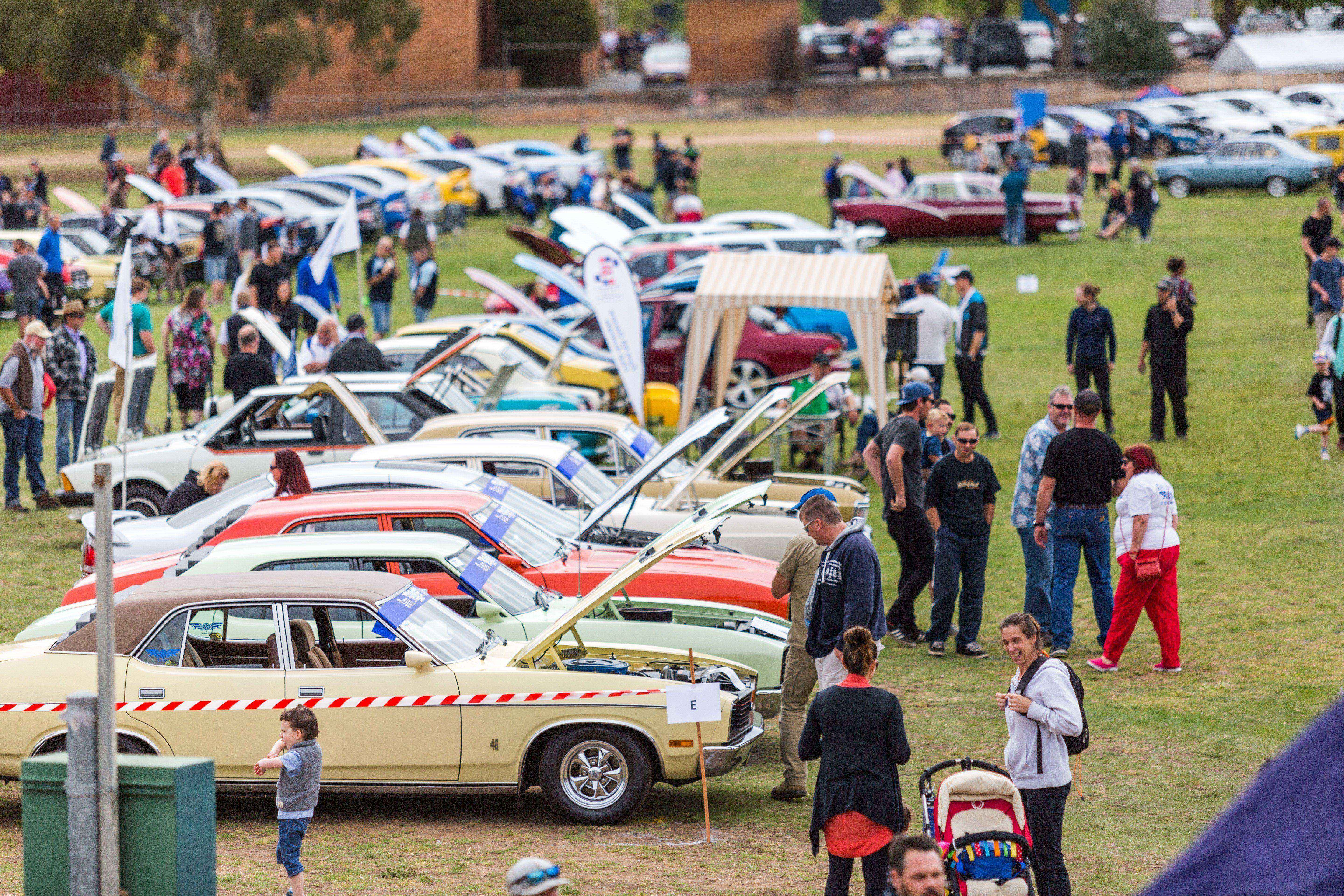 Ford fans all revved up as models rolled out for big display