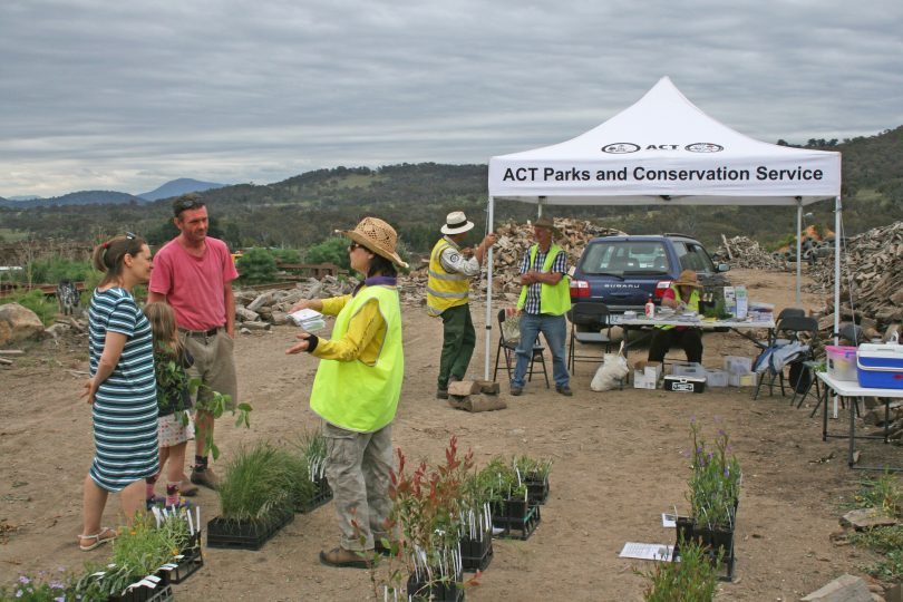 people, tent and plants in pots