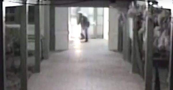 Caught on camera: Firebug strikes again while police and firemen still in Braddon building