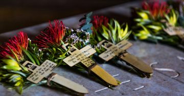 Lest we forget: Remembrance Day 2017