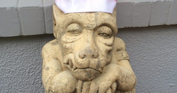 Where is Steve? Call goes out to bring the gnome home