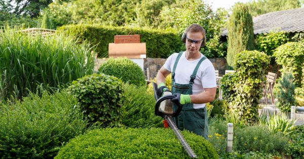 The best gardening services in Canberra