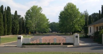 2500 plots in new cemetery's first stage, but no natural burials