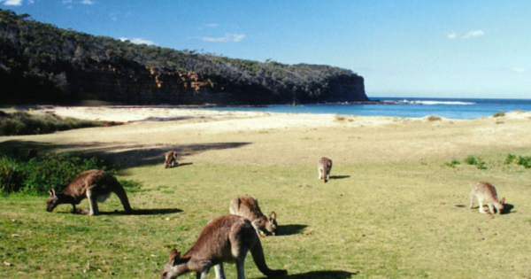 Canberra Day Trips: Murramarang National Park