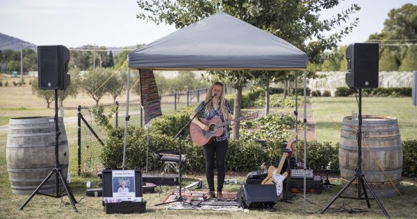 Music fills the air on a sunny summer day at the Pialligo Estate