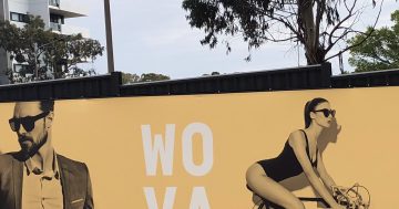 Sex may sell but crackdown looms on developers' advertising hoardings