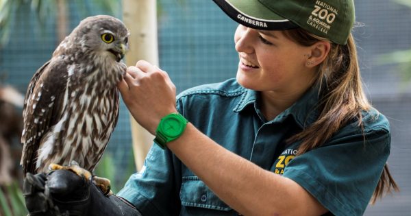 Canberra’s National Zoo & Aquarium voted one of the top 10 Australian animal attractions