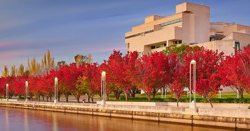 Finding a quality financial auditor in Canberra