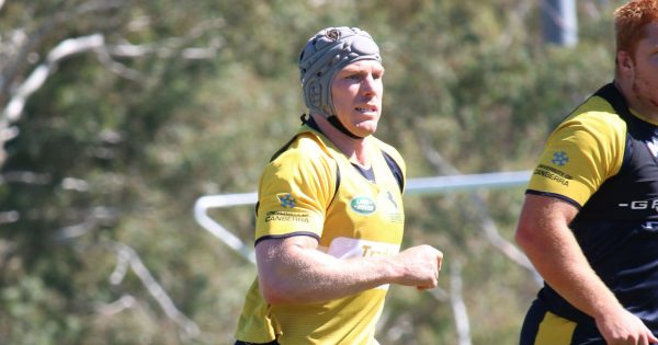David Pocock back into the starting line up as Carter misses out