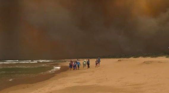 Mental health the next battle in the Bega Valley's bushfire recovery
