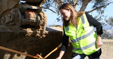 Construction commences on Ginninderry development, more land releases this year
