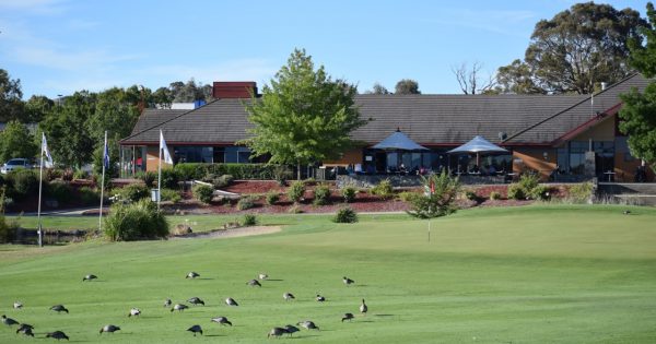 Gold Creek Country Club wants a community-inspired development plan for half of its site