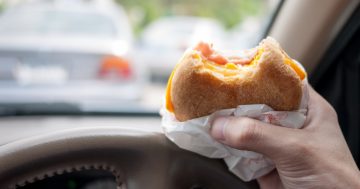 ACT motorists having near misses while being distracted by kids, pets and hunger pangs