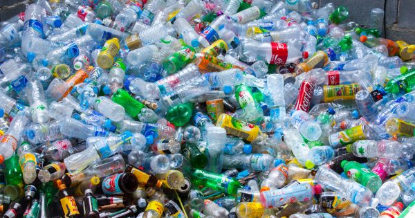 Moves to prevent ‘cash for cans’ scheme causing drink price spike
