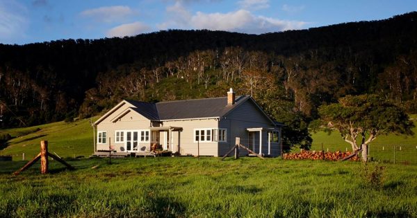River Cottage Australia host finds new work with ABC TV