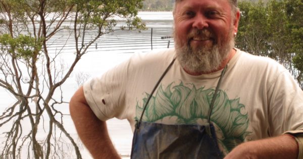 Lake Wapengo's wild organic oysters rock