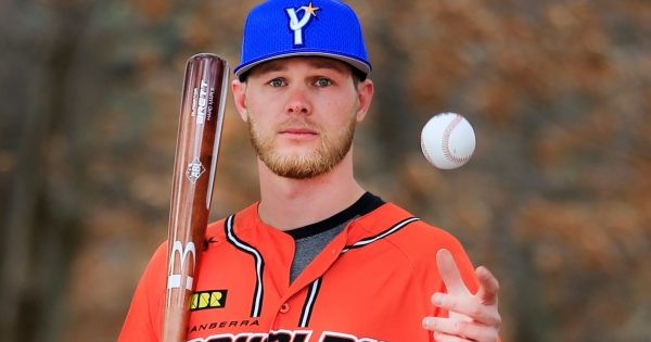 Canberra Cavalry poised to make a finals charge thanks to Japanese partnership