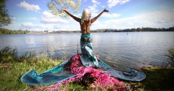 Artworks from around the globe grace the shores of Lake Burley Griffin for Contour 556