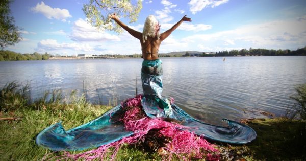 Artworks from around the globe grace the shores of Lake Burley Griffin for Contour 556