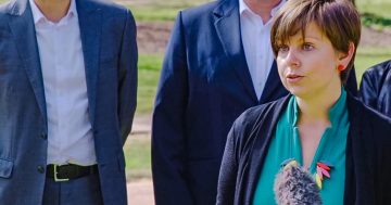 First poll shows Zed in trouble, say Greens