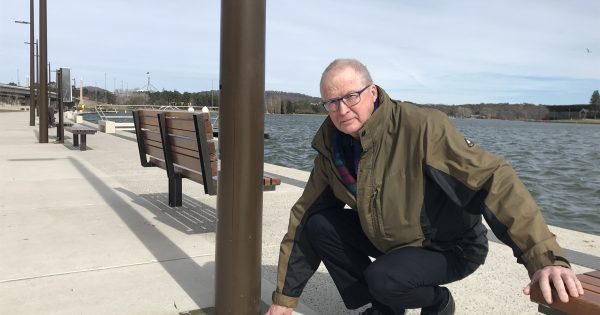 $100k in damages inflicted on Henry Rolland Park in brazen daylight robbery