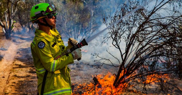 Seasonal firefighters prepare ground to keep the summer monster at bay