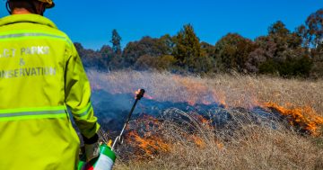 Smoke warning as autumn prescribed burn program begins