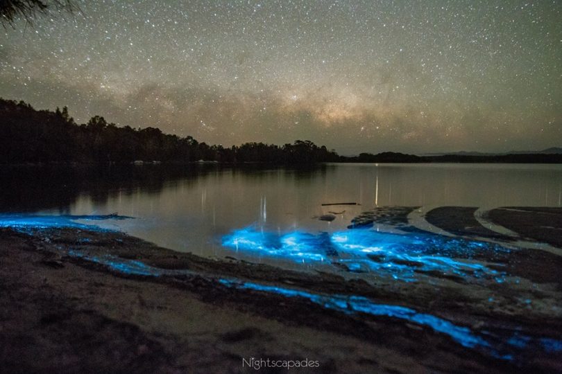 Bioluminescence captured at Tuross Head this week by Doug Ingram of Nightscapades. Photo: Doug Ingram.