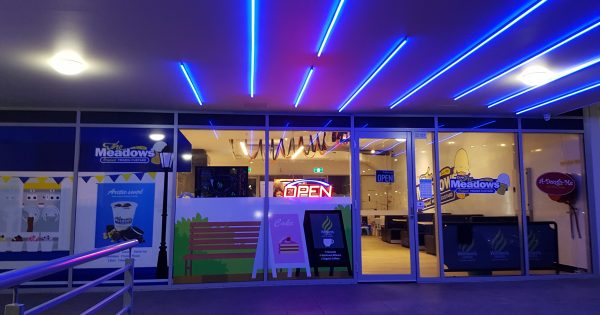 Frozen custard and sweet delights: The Meadows
