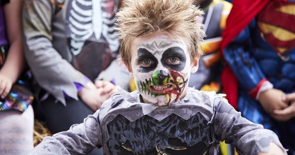 Eight things to do around Canberra this weekend (26–28 October)