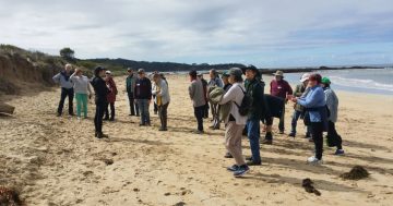 Eurobodalla Landcare at an all-time high