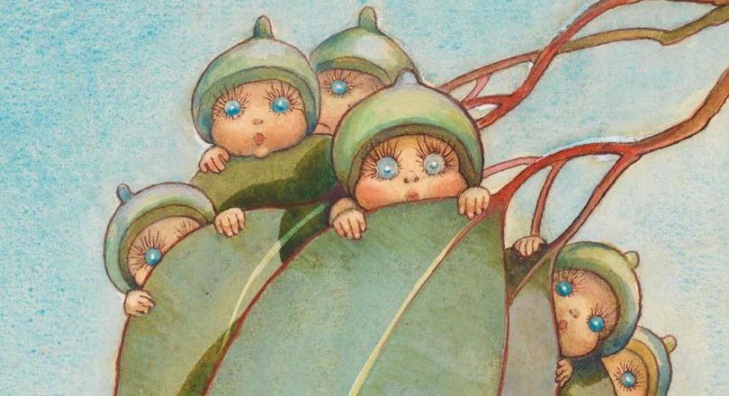 The Gumnut Babies are on show until Friday at Bombala Library. Photo: MayGibbs.org