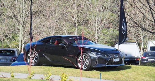 McIntyre Property golf day: a sweet shot for charity