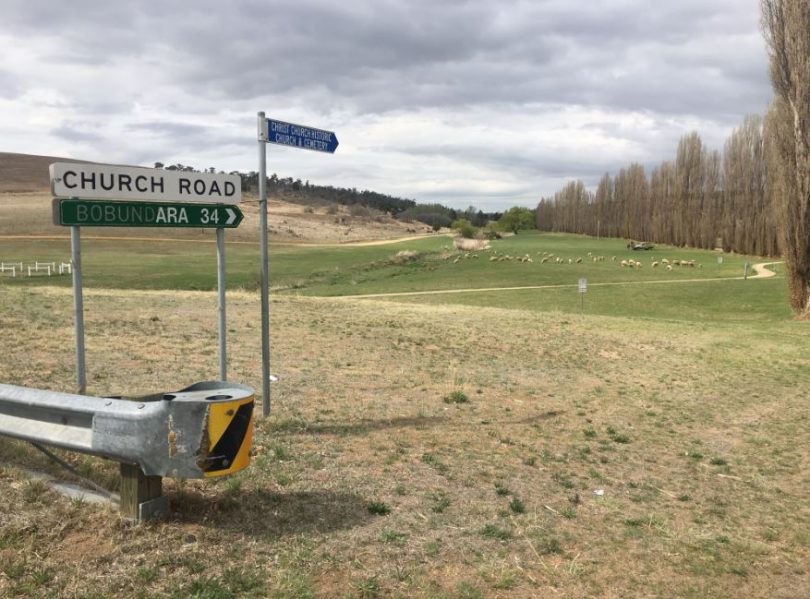 The river flats on the banks of the Cooma Creek are providing valuable green pick for Ray's sheep. Photo: Ian Campbell.